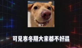 娱乐八卦吃瓜八卦是什么,从吃瓜八卦到幕后真相