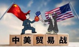 爆料美国华人安全事件最新,社区呼吁加强保护与正义