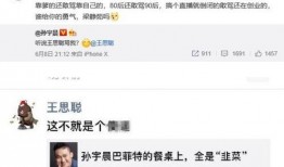 王思聪爆料孙宇晨视频,视频曝光惊人内幕