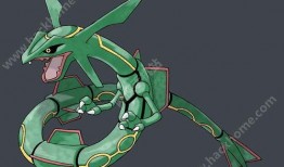 集梦尾巴最新爆料,揭秘神秘项目背后的故事