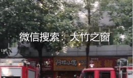消防人员爆料视频大全,震撼现场视频大全背后的真实故事