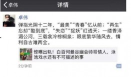 第一狗仔最新爆料小说,小说背后的惊人真相