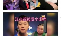 葛斯齐最新访谈爆料大s,大S最新动态与幕后故事