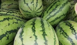 新疆小网红 吃瓜视频,揭秘网络热点背后的故事