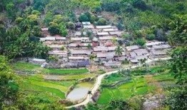 郑州保合寨最新爆料新闻,揭秘社区发展背后的故事