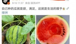 今年娱乐的吃瓜事件,盘点那些让人瞠目结舌的吃瓜事件
