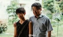 老陈爆料缅北事件真相视频,老陈独家爆料真相视频深度解析