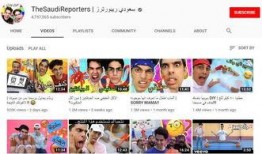 迪拜网红爆料视频播放,视频播放背后的火爆现象