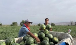 濮阳免费吃瓜地点