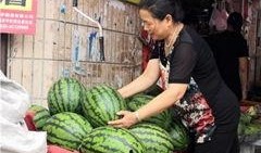 东北网红吃瓜群众视频播放,揭秘热门视频背后的故事
