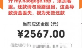 东莞新闻爆料整形贷款,揭秘美丽经济背后的金融助力