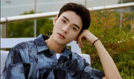 龚俊爆料视频大全最新消息,揭秘明星幕后故事与真实情感”