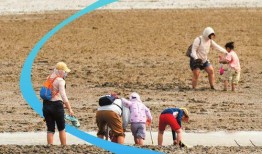 海南赶海爆料网站大全视频,精彩视频一网打尽