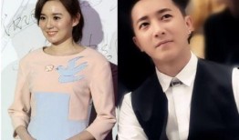 明星爆料最新绯闻,明星爆料最新绯闻，真相扑朔迷离