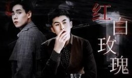 圈内爆料沈月陈小希,演绎青春校园新篇章