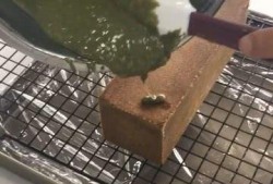 爆料臭豆腐做法视频,一招解锁地道风味