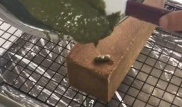 爆料臭豆腐做法视频,一招解锁地道风味