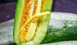 哪里可以吃网红瓜,探寻热门话题背后的美食之旅