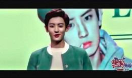 黑暗爆料娱乐圈小说