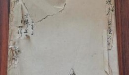 广州探店爆料视频最新,网红美食地图再升级，这家店你绝对不能错过！