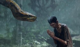 狂蟒之灾爆料视频大全集,惊悚揭秘，全程爆料视频大盘点