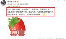 kpl吃瓜最新事件爆料,最新事件爆料揭秘战队内幕