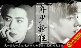 我为卿诳在线观看在线,穿越时空的浪漫邂逅