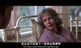 阿甘正传在线观看高清,穿越时光的纯真之旅
