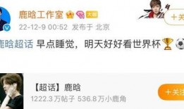 娱乐圈爆料的书,揭秘明星背后的秘密与真相