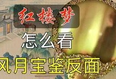 飞燕爆料完整视频大全,完整视频大全精彩瞬间大盘点