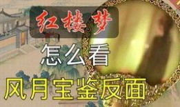 飞燕爆料完整视频大全,完整视频大全精彩瞬间大盘点