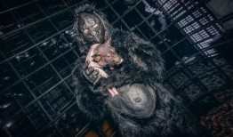 原始兽性在线观看