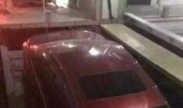 乐山新闻爆料,最新爆料揭示城市动态