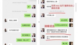 吃瓜摆烂第6集免费观看,揭秘剧情高潮，免费观看抢先看