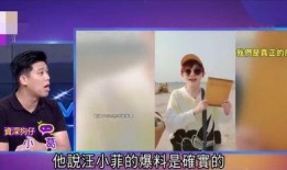 葛斯齐最新访谈爆料大s,大S最新动态与幕后故事