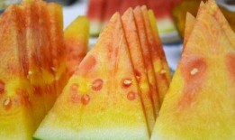 濮阳免费吃瓜地点