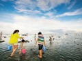 海南赶海爆料网站大全视频,精彩视频一网打尽