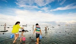 海南赶海爆料网站大全视频,精彩视频一网打尽