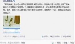 最新网友爆料视频下载安装,网友爆料视频下载安装全过程，带你领略最新科技魅力