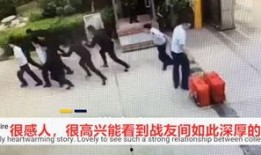 消防人员爆料视频大全,震撼现场视频大全背后的真实故事