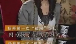 娱乐圈间谍爆料是谁,揭秘明星背后的惊人真相