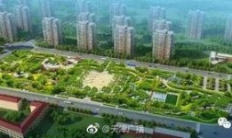 天津公园爆料最新消息,神秘事件引发热议，真相即将揭晓！