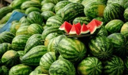 莒县网红吃瓜事件真相是真的吗,真相揭秘，还原事件始末