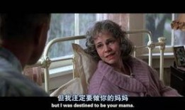 阿甘正传在线观看高清,穿越时光的纯真之旅
