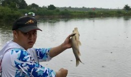 四海钓鱼频道在线观看,畅游钓鱼世界，尽享在线观钓盛宴