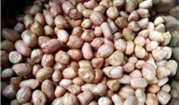 五香花生爆料视频大全,美味瞬间，香气四溢