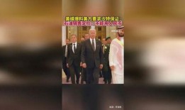 沙特阿拉伯爆料视频,内幕惊人披露