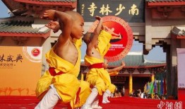 南少林在线观看,在线重温武林风华