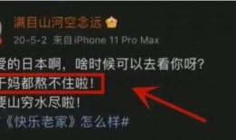 真正内鬼爆料视频,内鬼亲述真实爆料视频全解析
