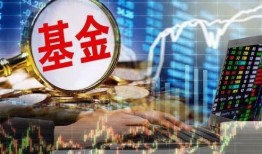 和平基金最新爆料新闻,揭秘重大国际和平项目进展